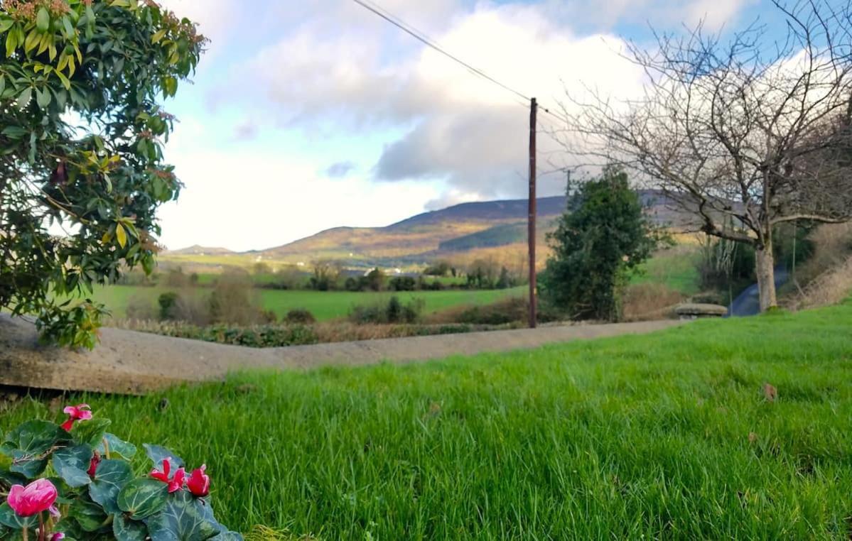 Enchanted Cottage Mullaghbane Extérieur photo